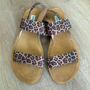 Steve Madden Brown Tan Sandals with Animal Print